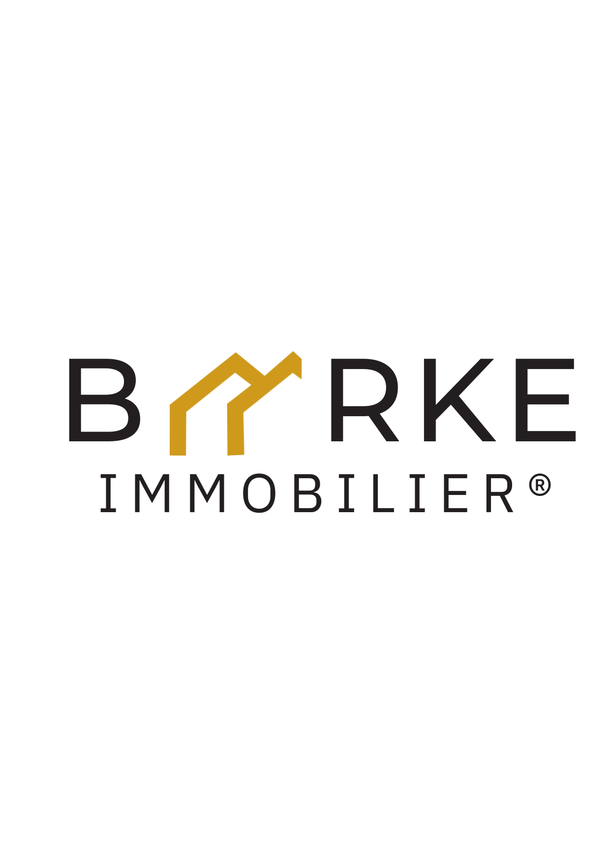 Logo Barke Immobilier